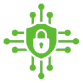 100% Secure